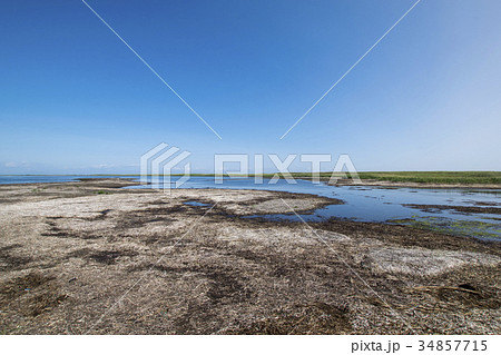 風蓮湖　(北側最先端部)　北海道 34857715