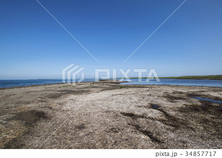 風蓮湖　(北側最先端部)　北海道 34857717