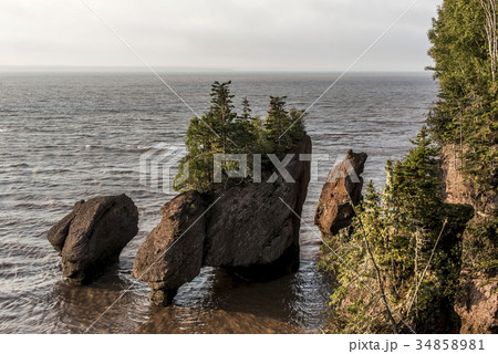 Sunrise famous Hopewell Rocks geologigal 34858981