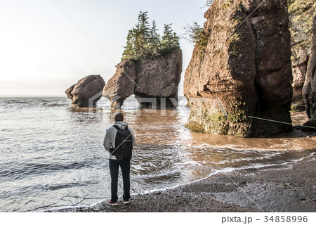 Man standing at Sunrise famous Hopewell Rocks 34858996