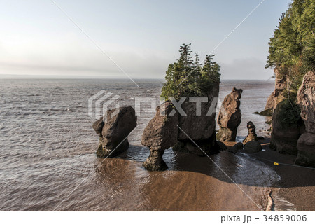 Sunrise famous Hopewell Rocks geologigal Sunrise famous Hopewell Rocks geologigal 34859006