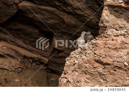 famous Hopewell Rocks geologigal formations at low 34859045