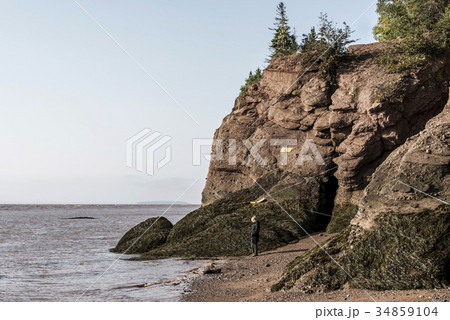 famous Hopewell Rocks geologigal formations at low 34859104