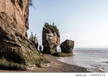 famous Hopewell Rocks geologigal formations at low 34859172
