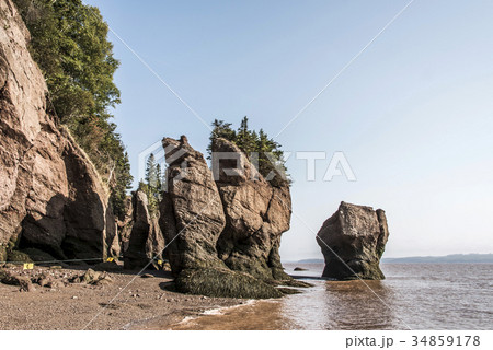 famous Hopewell Rocks geologigal formations at low 34859178