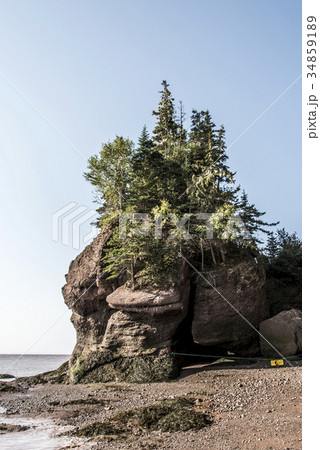 famous Hopewell Rocks geologigal formations at low 34859189
