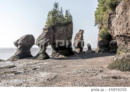 famous Hopewell Rocks geologigal formations at low 34859200