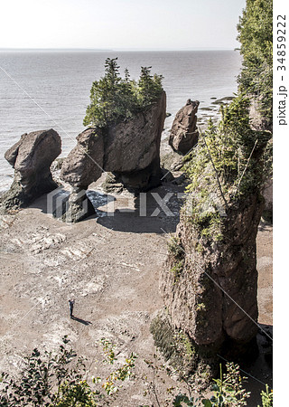 famous Hopewell Rocks geologigal formations at low 34859222