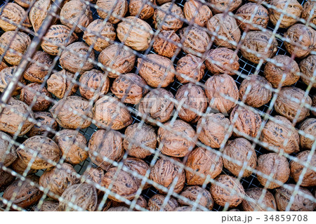 天日干し中のクルミの実 34859708