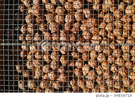 天日干し中のクルミの実 天日干し中のクルミの実 34859719