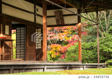 妙心寺桂春院、真如の庭と方丈 34859736