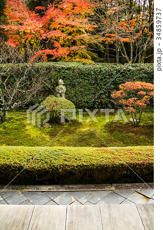 妙心寺桂春院、真如の庭の紅葉 34859737