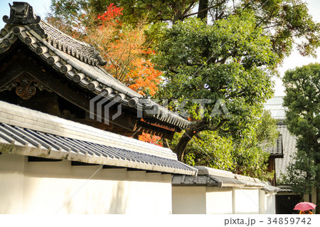 妙心寺境内、秋景色 妙心寺境内、秋景色 34859742