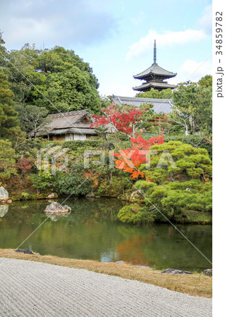 仁和寺北庭の秋景色の写真素材