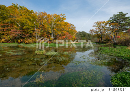 グダリ沼 - 八甲田 34863314