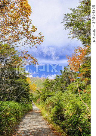秋の御嶽山登山道（縦） 34864859