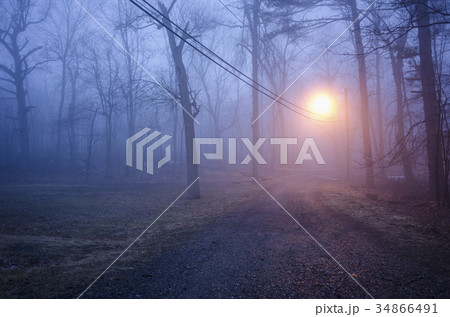 USA, New Jersey, Empty dirt road at dawn 34866491