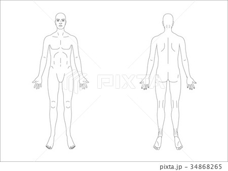 男性人体図おもてうらa3ヨコのイラスト素材