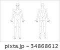 女性人体図おもてうらA3ヨコ 34868612