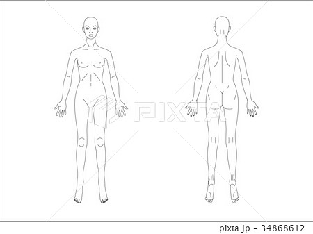 女性人体図おもてうらa3ヨコのイラスト素材