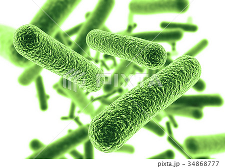 バクテリア　ウイルス　白背景 34868777