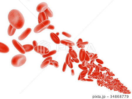 赤血球 赤血球 34868779