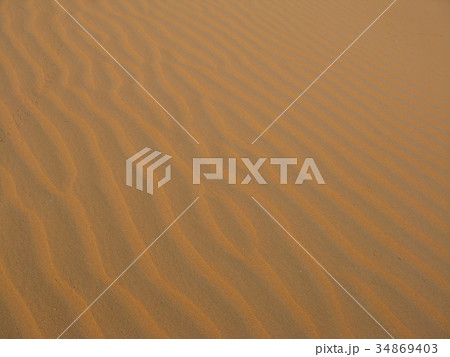 サハラの風紋 サハラの風紋 34869403