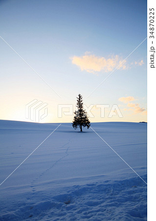 冬の夕暮れの美瑛〜富良野の風景 冬の夕暮れの美瑛〜富良野の風景 34870225