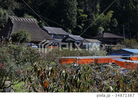 串柿の里　四郷　東谷 34871367