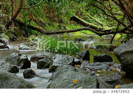柿田川湧水 34872602
