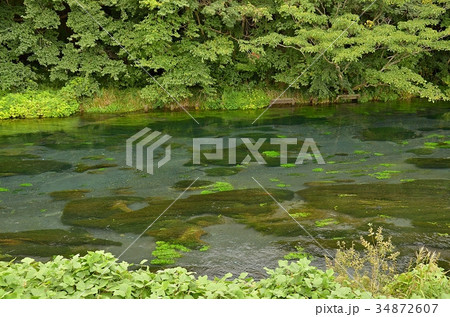 柿田川湧水 34872607