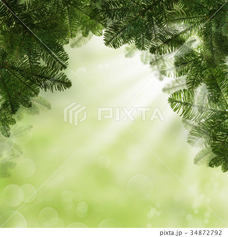 Green Fir Tree Twig and Abstract Boken Background 34872792