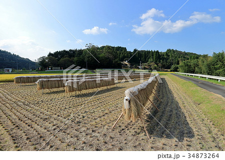 掛け干し 掛け干し 34873264