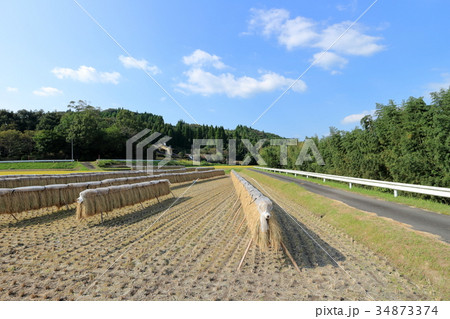 掛け干し 34873374