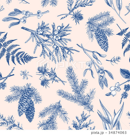 Christmas seamless botanical pattern. 34874063