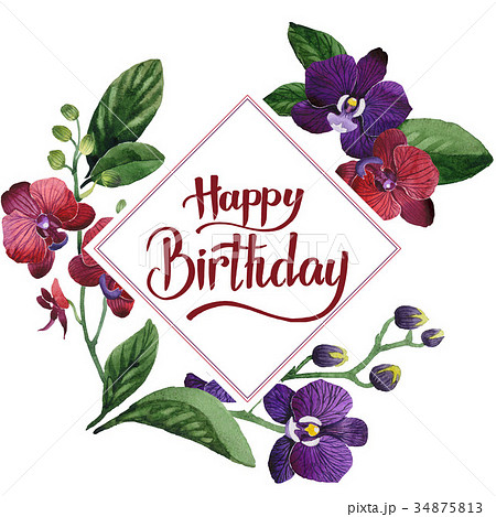 Wildflower orchid flower frame in a watercolor 34875813