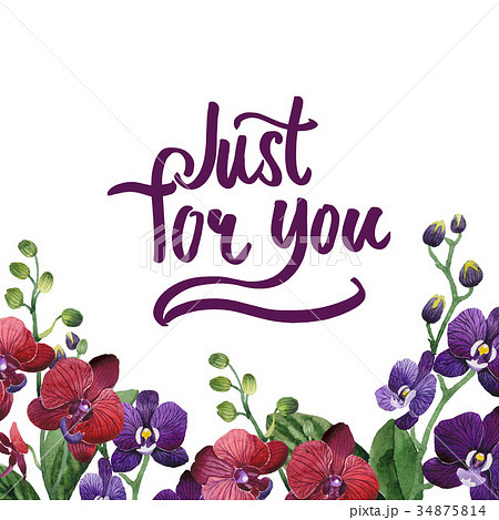 Wildflower orchid flower frame in a watercolor 34875814