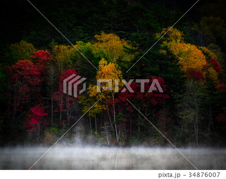 オンネトーの紅葉 34876007