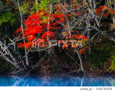 オンネトーの紅葉 34876009