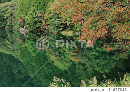 中綱湖 秋の湖面 中綱湖 秋の湖面 34877316