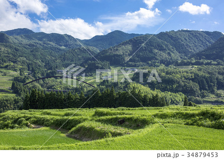 庄内の棚田 34879453