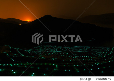 土谷棚田の火祭りライトアップ　長崎県松浦市 34880075