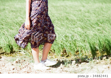 景色 風景 日光 34882441