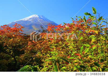 紅葉の鳥海山 34883038