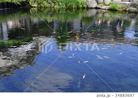 忍野八海 34883697