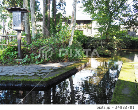 六郷湧水群藤清水 六郷湧水群藤清水 34883781