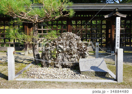岡山県津山市にある作楽神社:さざれ石 岡山県津山市にある作楽神社:さざれ石 34884480