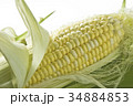 Sweet Corn 34884853
