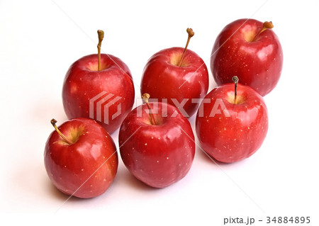 リンゴ（アルプス乙女） 34884895
