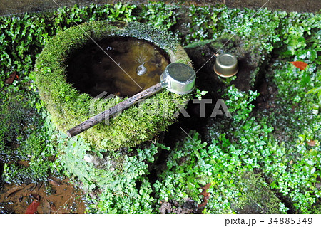 コケと水鉢と柄杓 コケと水鉢と柄杓 34885349